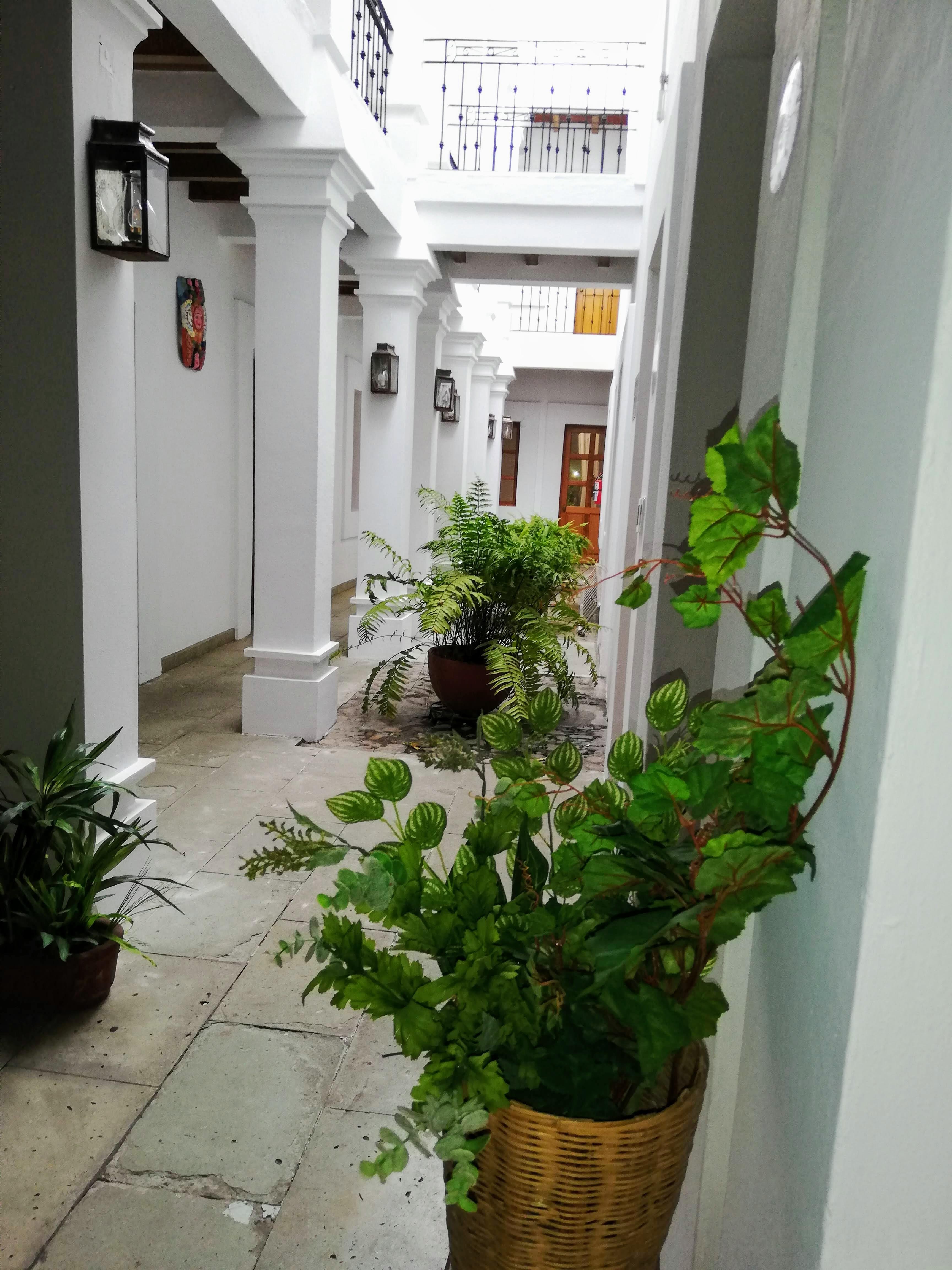 Hotel Aitana Oaxaca Eksteriør bilde